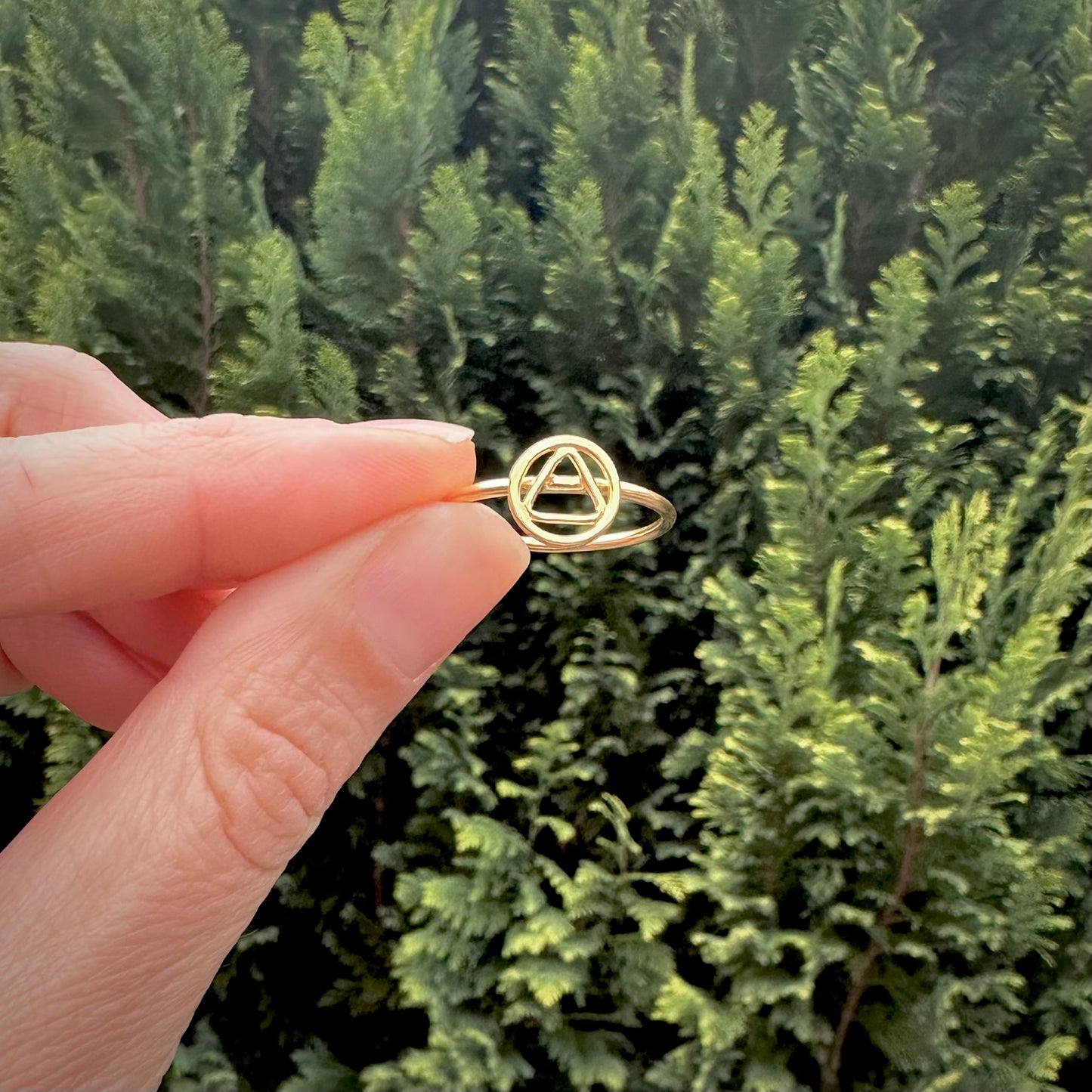 Alchemy Elements Gold Earth / Air Ring