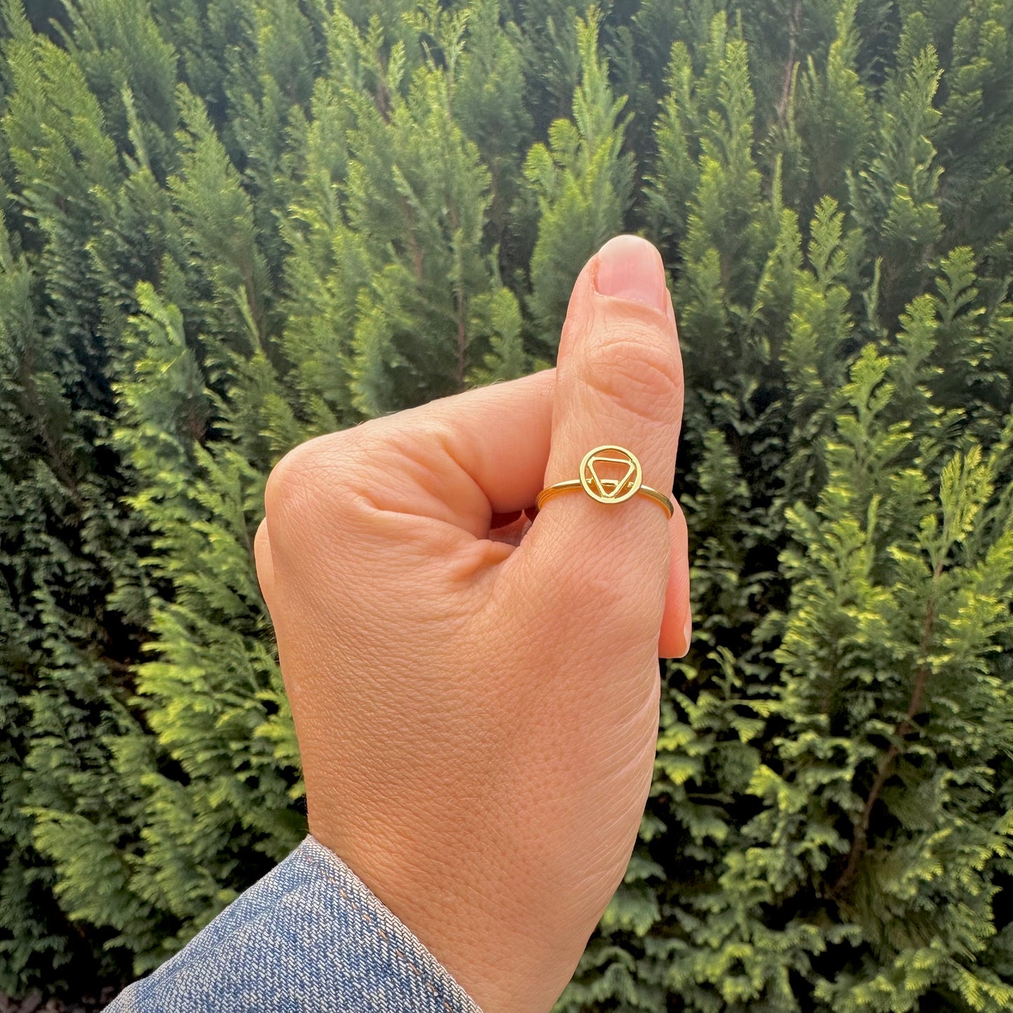 Alchemy Elements Gold Earth / Air Ring