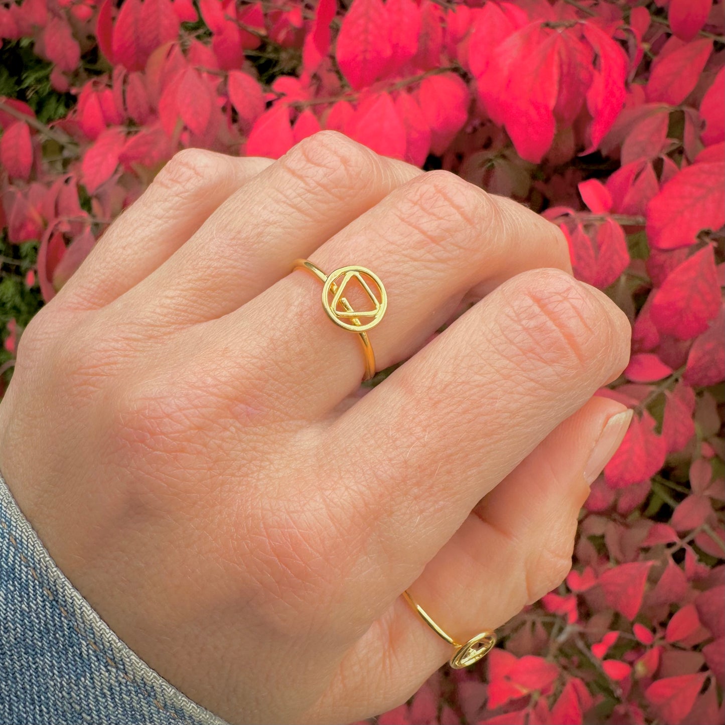 Alchemy Elements Gold Earth / Air Ring